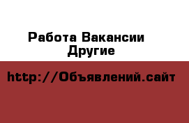 Работа Вакансии - Другие